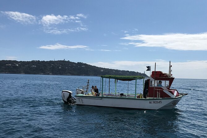 Half Day Snorkeling & Diving in Nice - Weather, timing, and practical limits