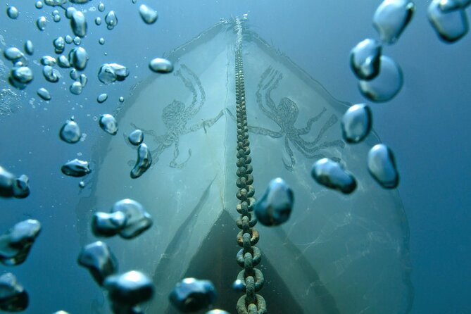Half Day Snorkeling & Diving in Nice - Who will get the most from this outing?