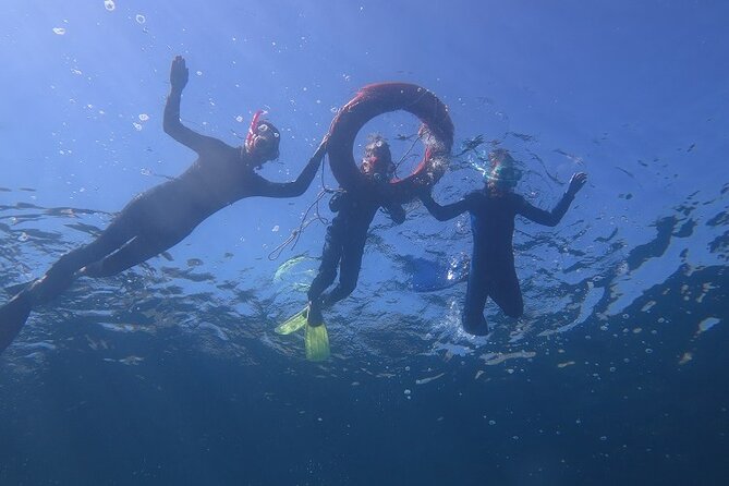 Half Day Snorkelling Experience with a dive boat in Kos Greece - Snorkelling around Pserimos