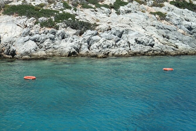 Half Day Snorkelling Experience with a dive boat in Kos Greece - What the shared scuba and snorkelling format means