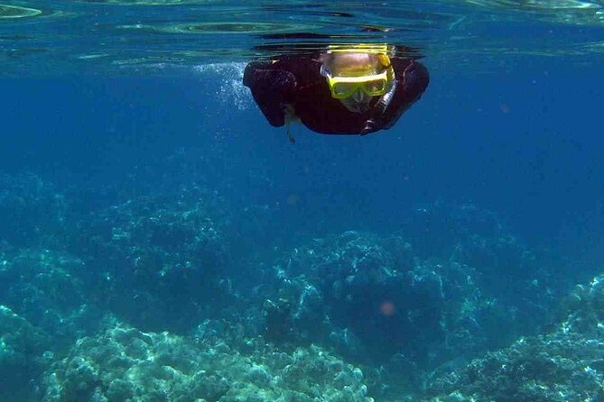 Half Day Snorkelling Experience with a dive boat in Kos Greece - What to bring, and what not to expect