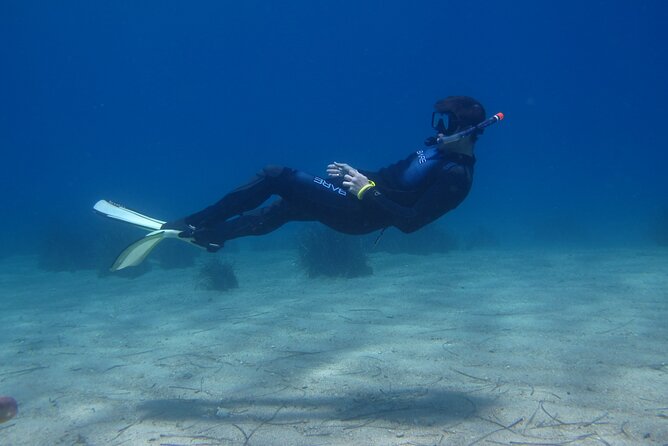 Half Day Snorkelling Experience with a dive boat in Kos Greece - Who will enjoy this Kos snorkelling trip