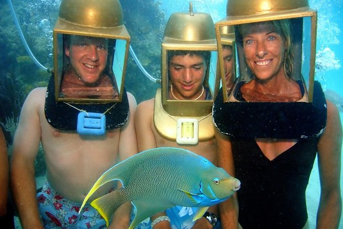 Hartley Helmet Diving in Bermuda - Meeting Bermuda’s resident fish