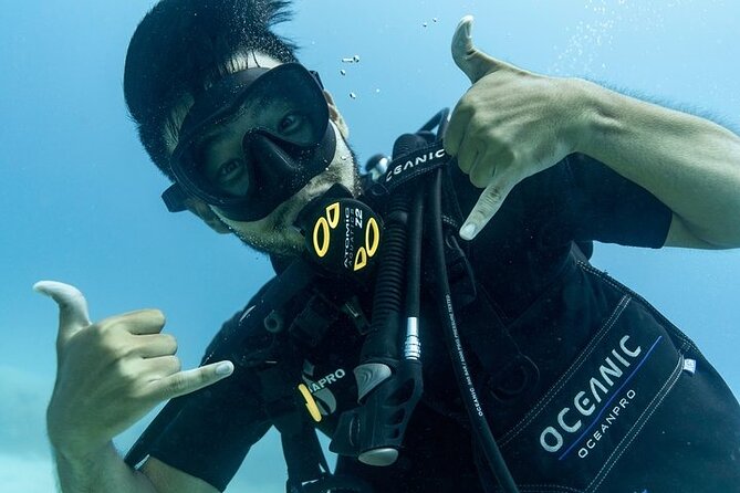 Hawaii DISCOVER Beginner + Certified 2 Tank Shallow Scuba Diving - Waikiki, Ala Moana, and Kewalo Basin