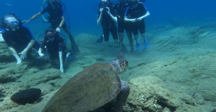 Heraklion: Beginner's intro dive w/2 Dives with transfer. - Why two sessions are better for first-timers