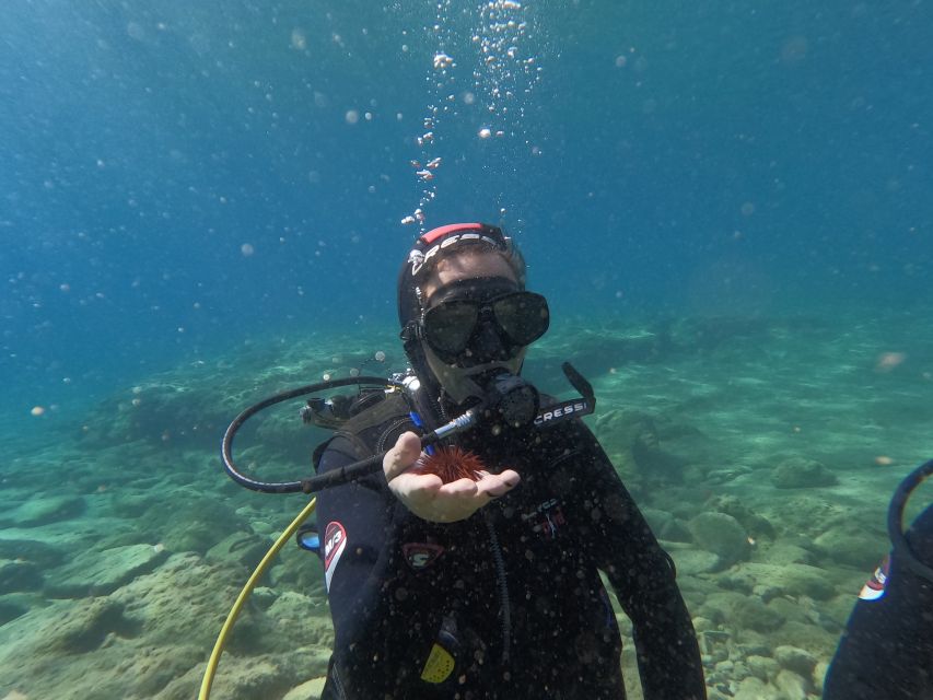 Heraklion: Beginner's intro dive w/2 Dives with transfer. - The instruction and safety setup