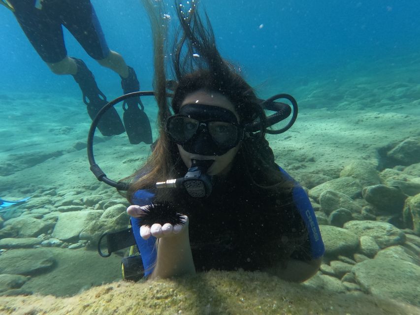Heraklion: Beginner's intro dive w/2 Dives with transfer. - Booking advice and cancellation terms