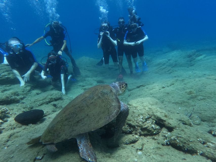 Heraklion: Beginner's intro dive w/2 Dives with transfer. - Agia Pelagia beneath the surface