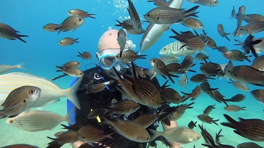 Heraklion: Beginner Scuba Diving Lesson with PADI Instructor - Should you book the Agia Pelagia session?