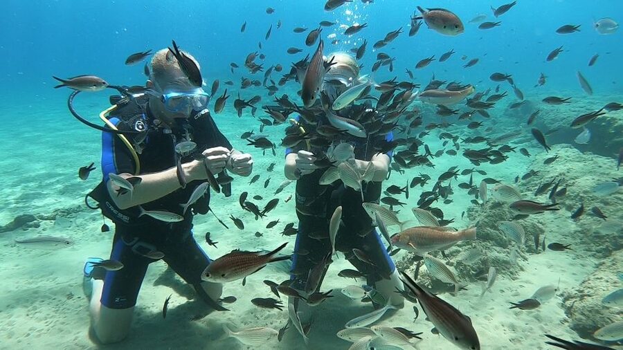 Heraklion: Beginner Scuba Diving Lesson with PADI Instructor - What the $88 price includes