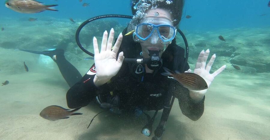 Heraklion: Beginner Scuba Diving Lesson with PADI Instructor - A steady one-hour underwater session