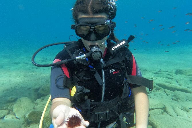Heraklion: Scuba Diving Experience for Beginners - What this Agia Pelagia scuba session is really like