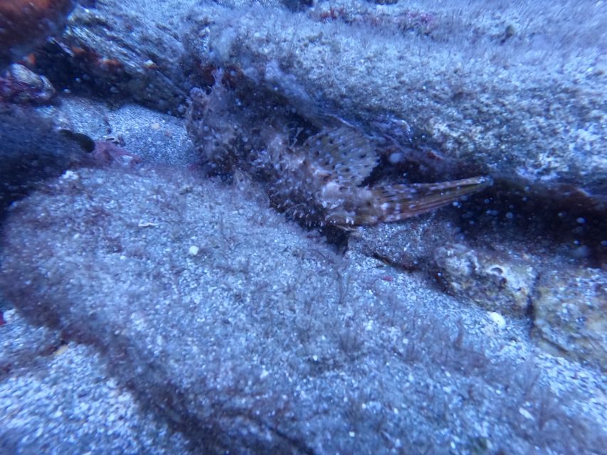 Heraklion: Scuba Diving Experience for Beginners _Beach - What happens at Mononaftis Beach