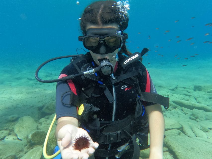 Heraklion: Scuba Diving Experience for Beginners _Beach - Photos are a useful extra, not part of the price