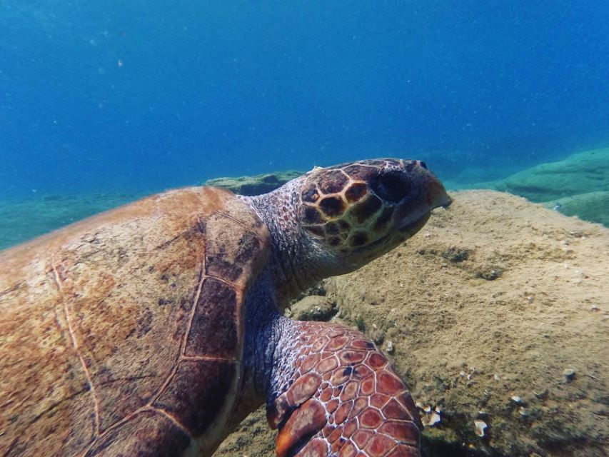 Heraklion: Scuba Diving Experience for Beginners _Beach - Who should book this experience