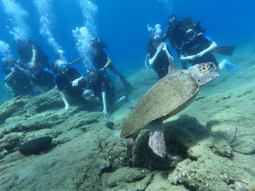 Heraklion: Scuba Diving Experience for Beginners _Beach - Is $81 good value?
