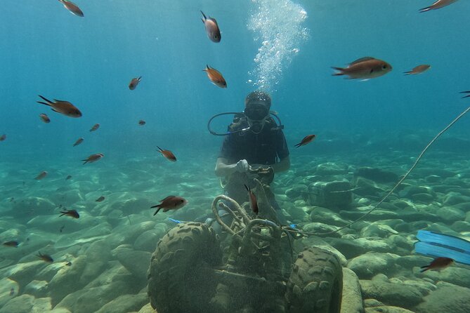 Heraklion: Scuba Diving Experience for Beginners - Agia Pelagia Beach and the underwater session