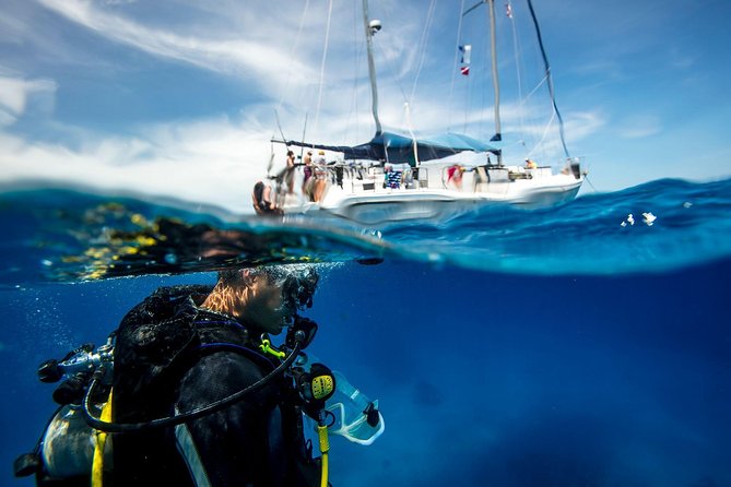 Heraklion: Scuba Diving Experience for First-Timers - Why Ligaria is a good place to try scuba