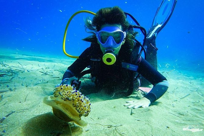 Heraklion: Scuba Diving Experience for First-Timers - Pickup, walking, and the Ligaria meeting point