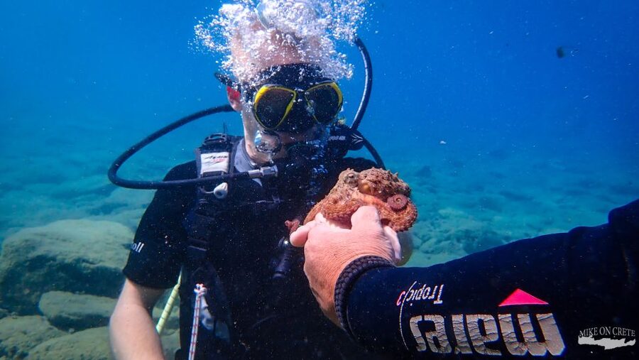 Heraklion: Scuba Diving Experience for First-Timers - What to bring and what to leave behind