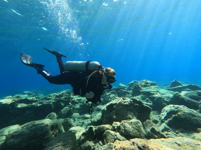 Heraklion: Try Scuba Diving For Beginners (1 dive) - A gentle first step into Crete’s underwater world
