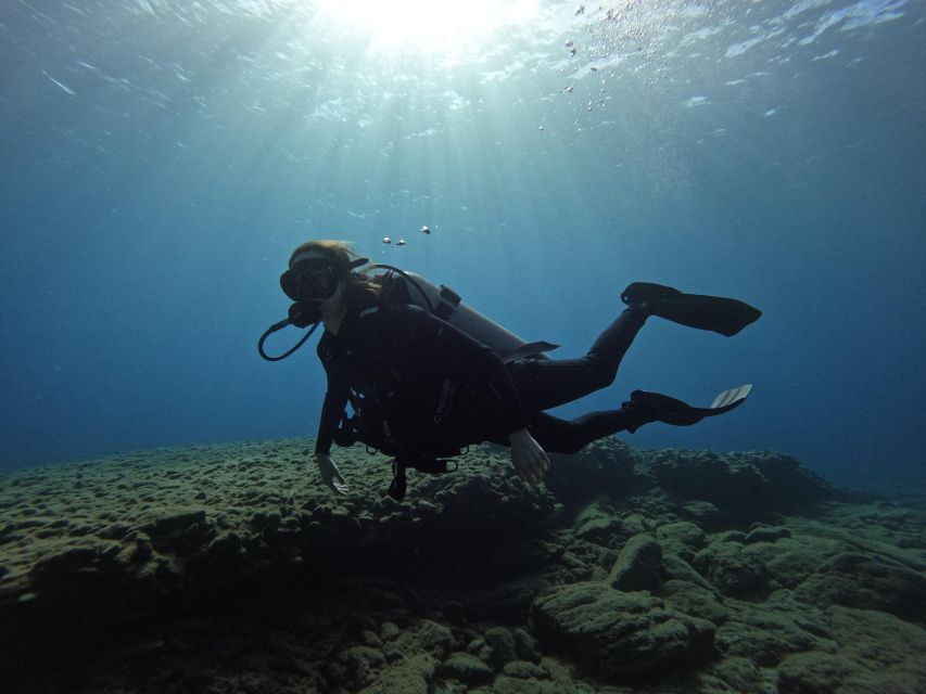 Heraklion: Try Scuba Diving For Beginners (1 dive) - Should you book this Heraklion scuba experience?