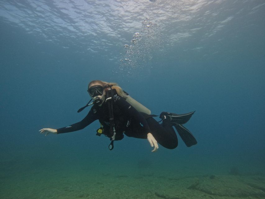 Heraklion: Try Scuba Diving For Beginners (1 dive) - The underwater session and Cretan sea life