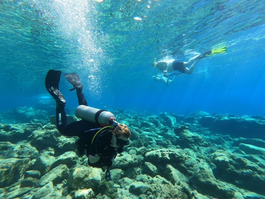 Heraklion: Try Scuba Diving For Beginners (1 dive) - Who will enjoy this most