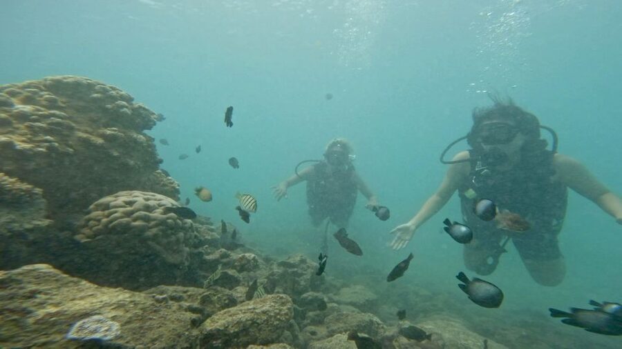 Honolulu: Beginner Scuba Diving Tour With Free Videos - Twenty minutes beneath the surface