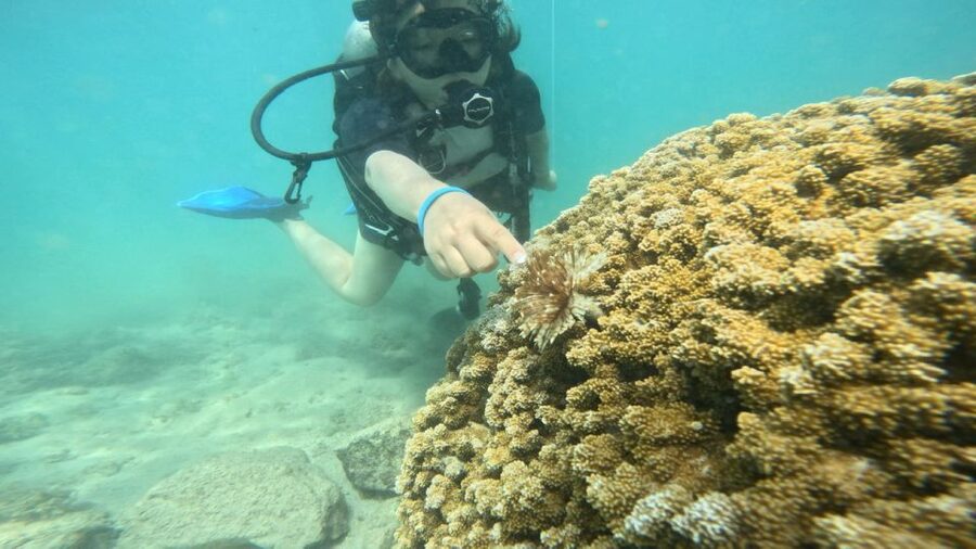 Honolulu: Beginner Scuba Diving Tour With Free Videos - Meeting Kyle and getting settled