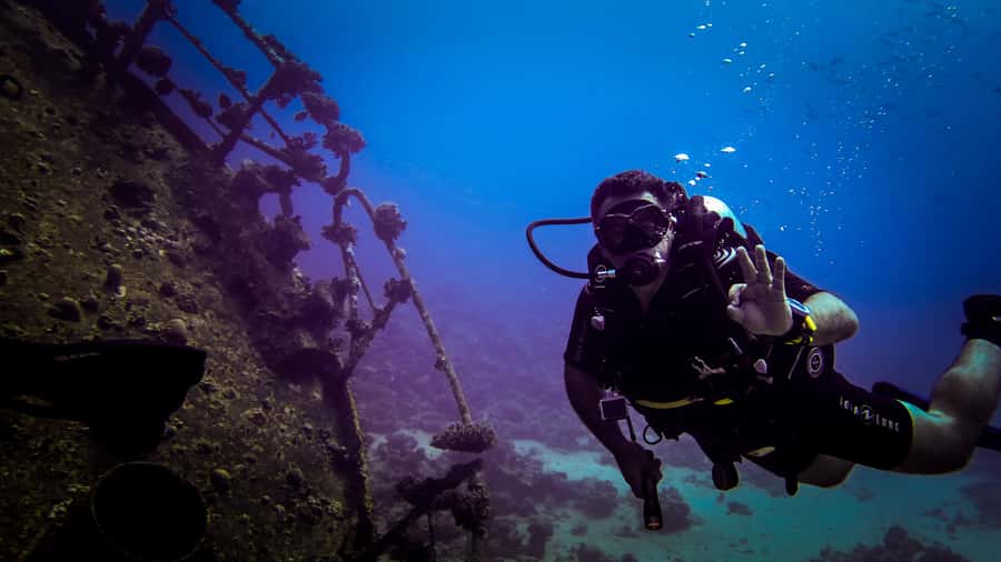 Hurghada: 1, 2, 3, 4, or, 5-Day Scuba Diving Package - Should you book The Pure Coastal?