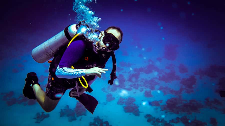 Hurghada: 1, 2, 3, 4, or, 5-Day Scuba Diving Package - What the $58 price really covers
