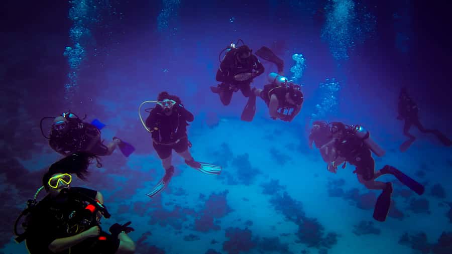 Hurghada: 1, 2, 3, 4, or, 5-Day Scuba Diving Package - Who will get the most from this experience?