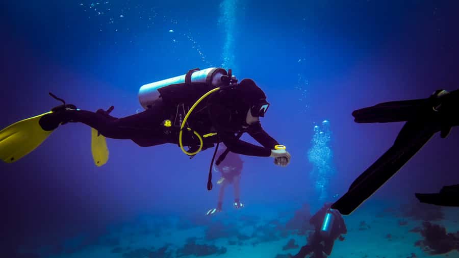 Hurghada: 1, 2, 3, 4, or, 5-Day Scuba Diving Package - What you may see beneath the surface
