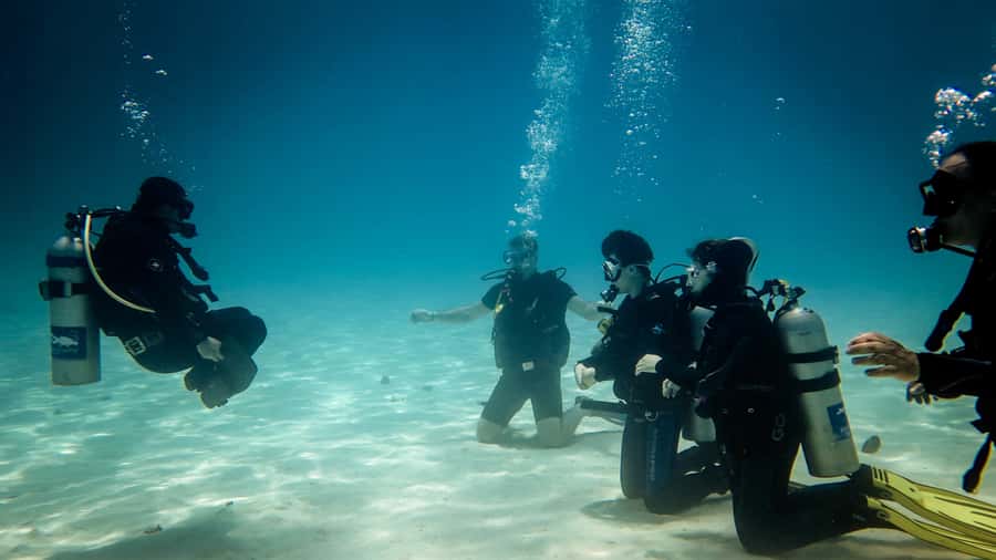 Hurghada: 3-Day PADI Open Water Diving Course - Key points to know before booking