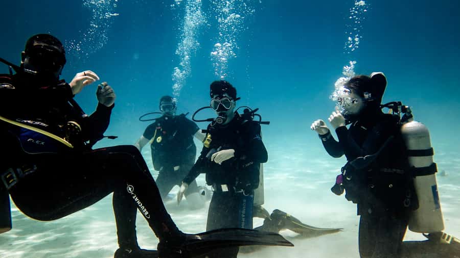 Hurghada: 3-Day PADI Open Water Diving Course - The Red Sea setting is part of the lesson