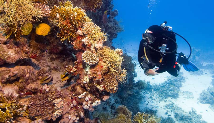 Hurghada: 3-Day PADI Open Water Diving Course - Equipment, food, and transport
