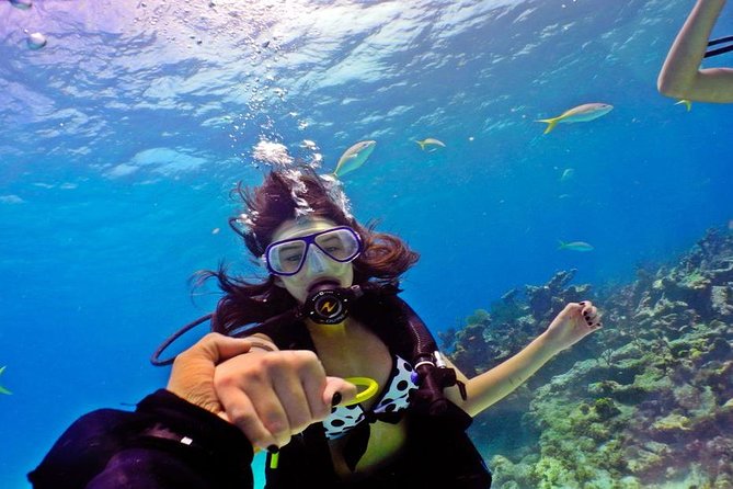 Hurghada: 6-Hour Dive Trip with Two Dive Sites - Key points to know