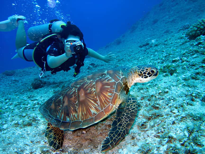 Hurghada: Beginners Scuba Diving Full-Day Boat Trip & Lunch - Lunch, Drinks, and Time on Deck