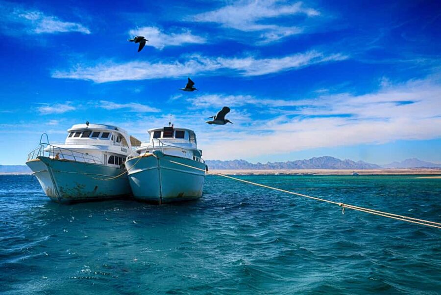 Hurghada: Beginners Scuba Diving Full-Day Boat Trip & Lunch - Is $30 Good Value?