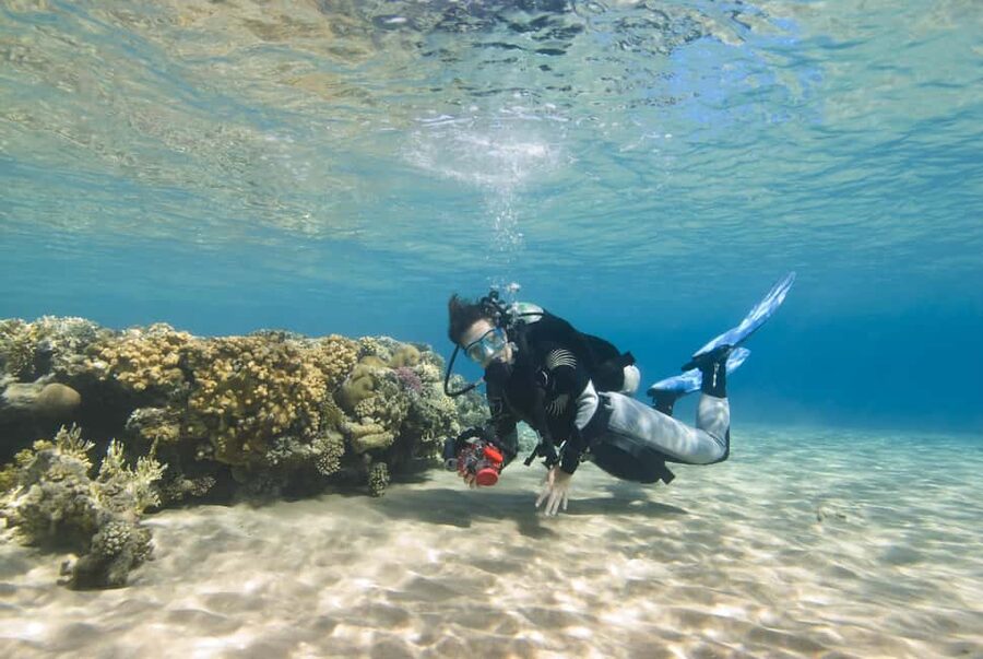Hurghada: Beginners Scuba Diving Full-Day Boat Trip & Lunch - Who Should Book This Boat Trip?