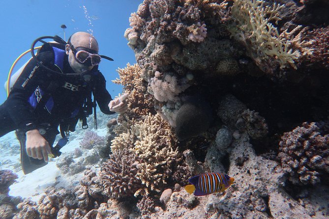 Hurghada Daily Scuba Dive Trip - Leaving Hurghada for the Red Sea