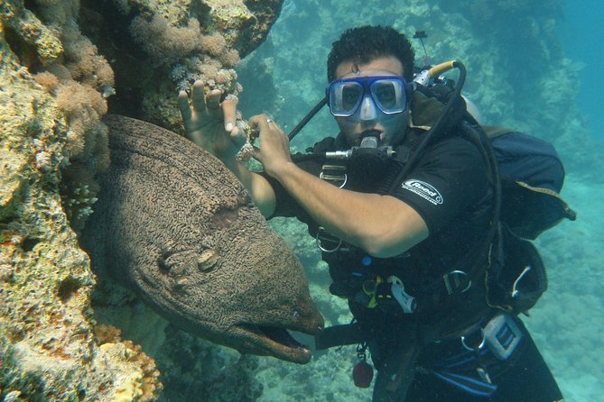 Hurghada Daily Scuba Dive Trip - Lunch, coffee, and the practical middle of the day
