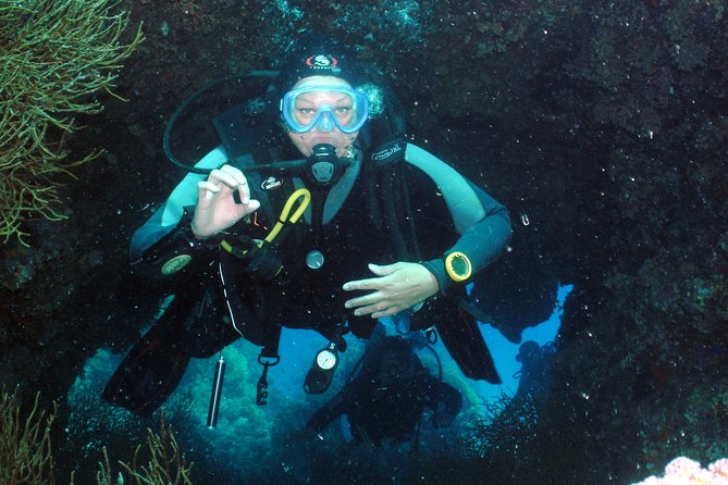 Hurghada Daily Scuba Dive Trip - Equipment, crew, and group size