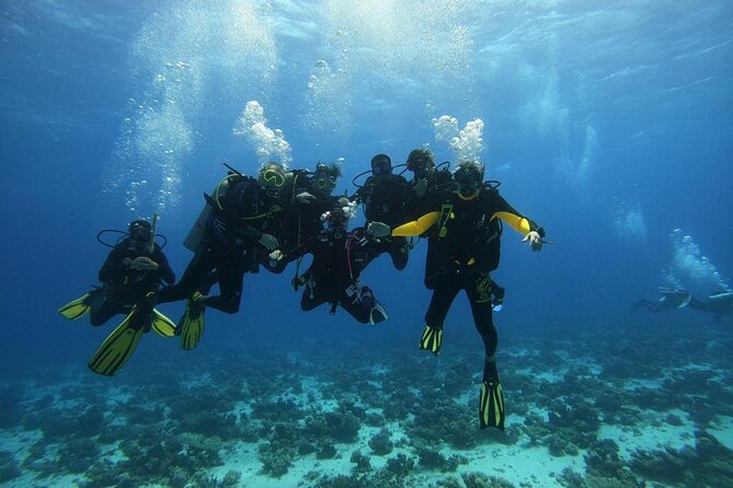 Hurghada Diving Adventure one Day with two Dives Boat Trip - Lunch and drinks keep the day easy
