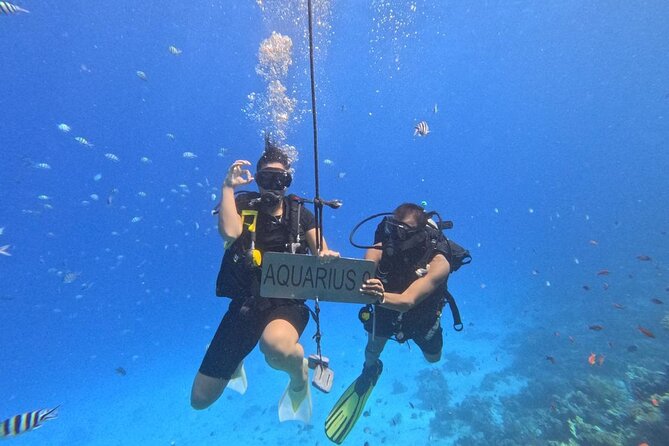 Hurghada Diving Adventure one Day with two Dives Boat Trip - The price in practical terms