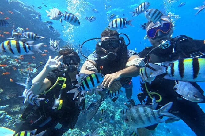 Hurghada Diving Adventure one Day with two Dives Boat Trip - What happens on the boat