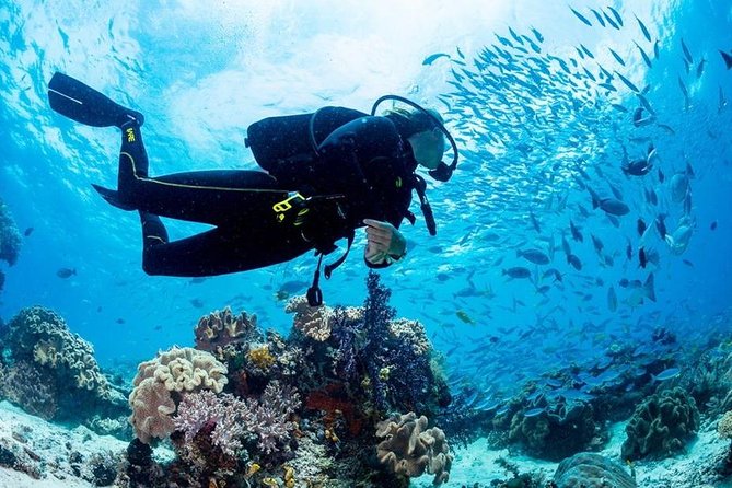 Hurghada: Full-Day Diving Tour with Lunch & Two Dive Sites - Lunch and a proper break between sessions