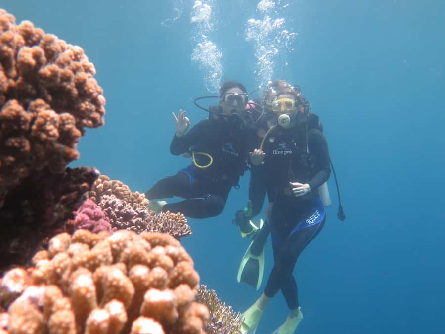 Hurghada: Full-Day Scuba Diving Tour with 2 Sites and Lunch - What the seven-hour Hurghada day feels like