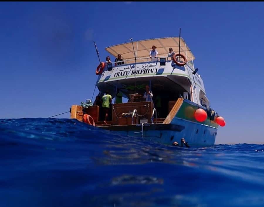Hurghada: Full-Day Scuba Diving Tour with 2 Sites and Lunch - Is $70 good value?